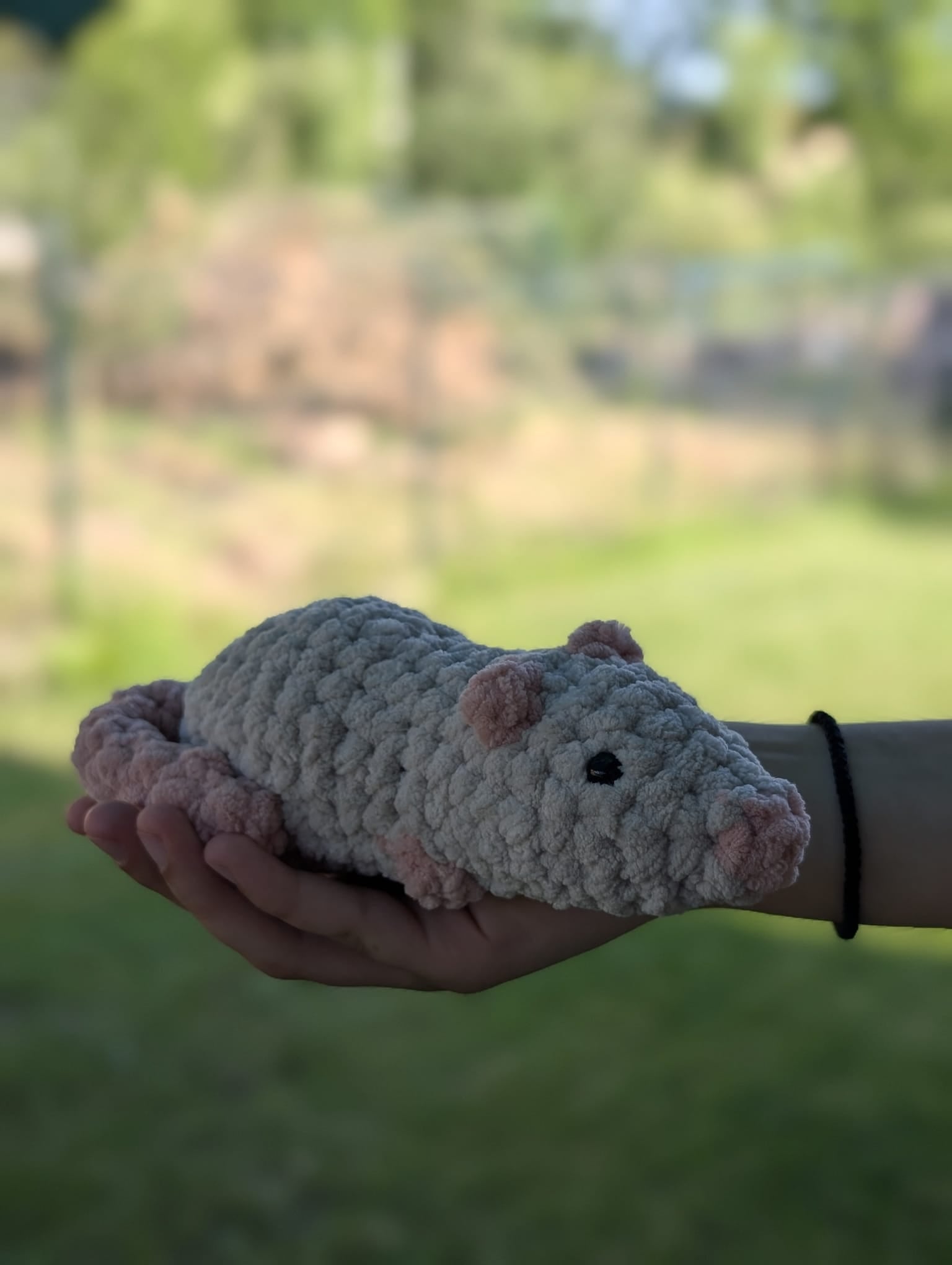Domnul Mustăcilă